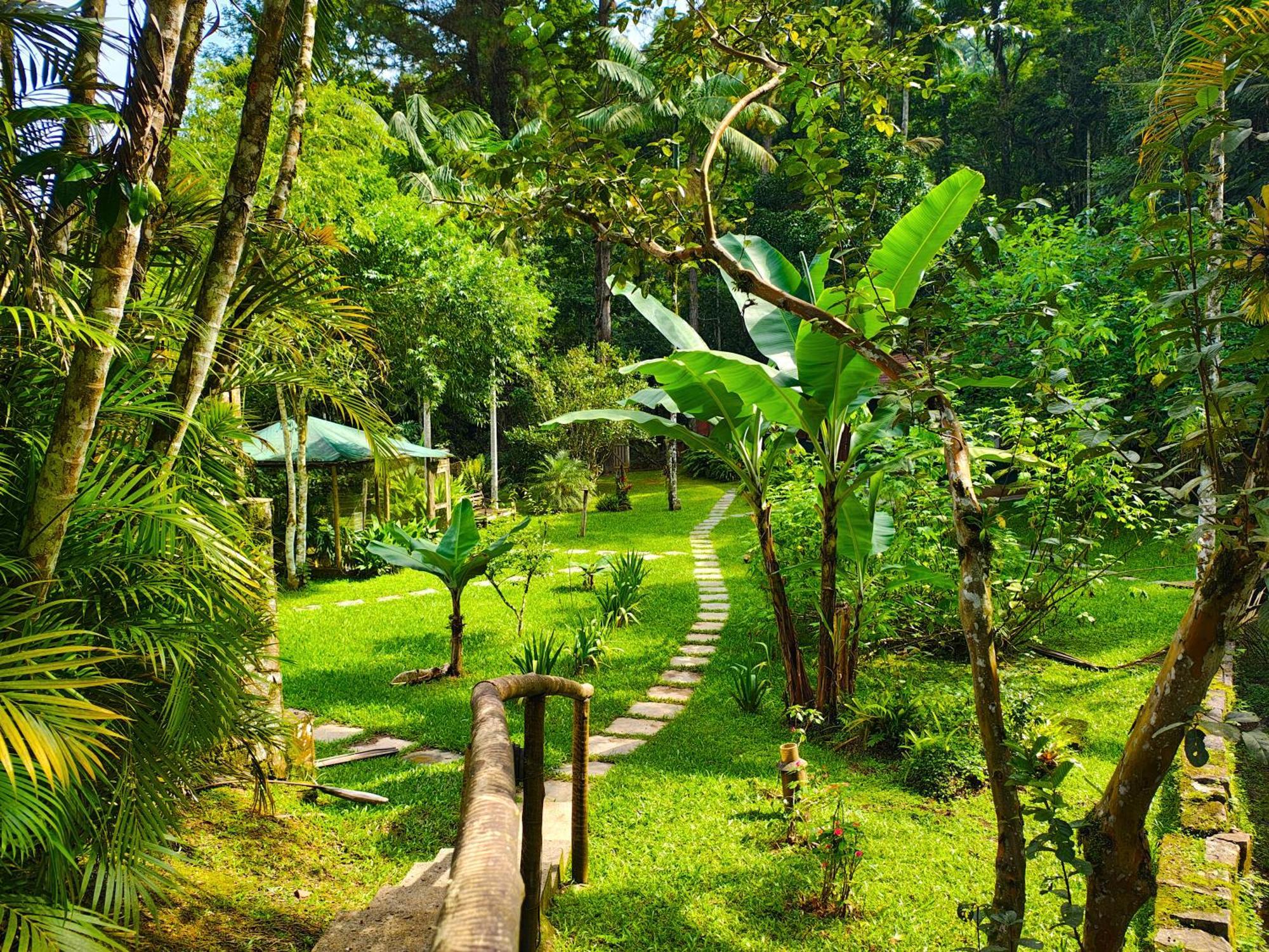 Pousada Romântica Serra da Mata Penedo  Exterior foto